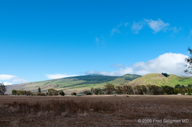 20091101_131141 D300.jpg - Kohala Forest Reserve from Belt Road, Hawaii